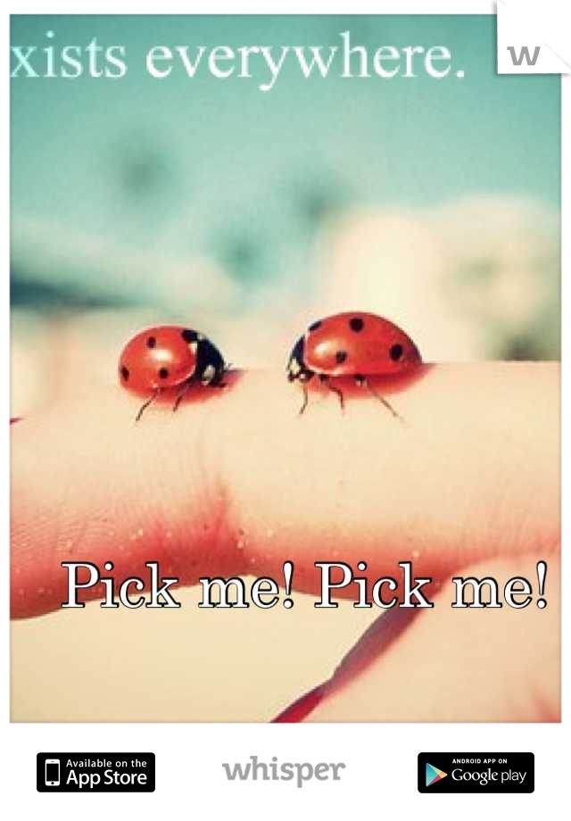Pick me! Pick me! 