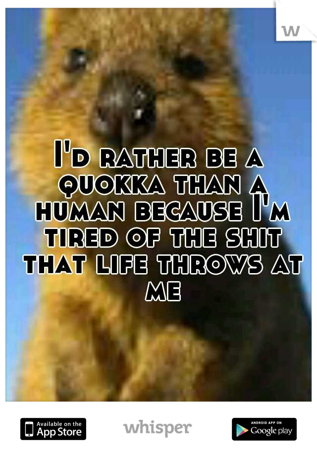 I'd rather be a quokka than a human because I'm tired of the shit that life throws at me