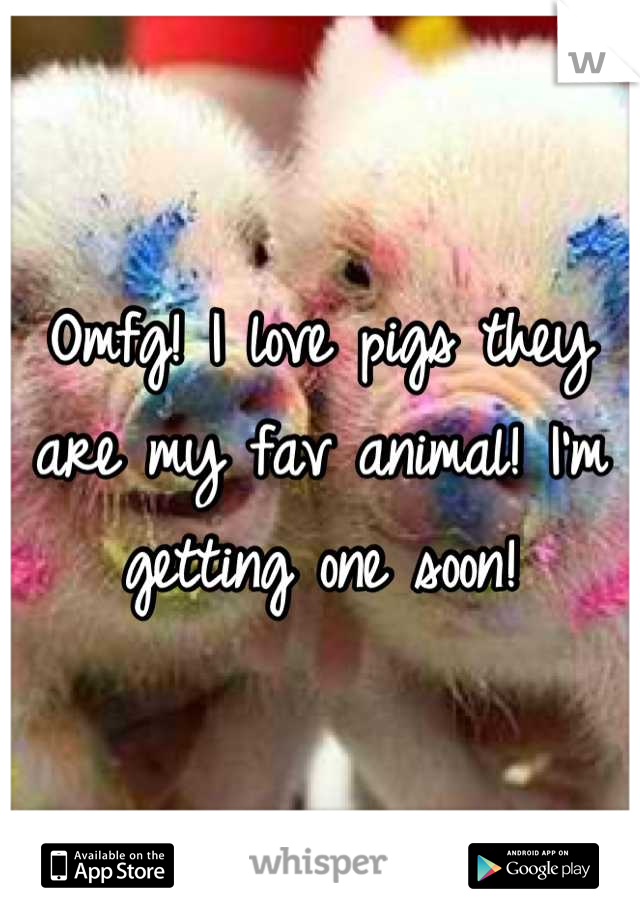 Omfg! I love pigs they are my fav animal! I'm getting one soon!
