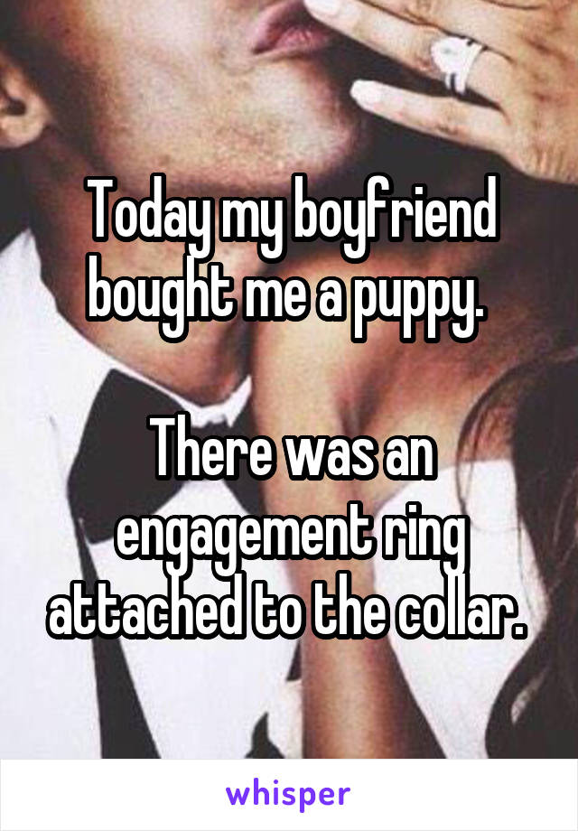 Today my boyfriend bought me a puppy. 

There was an engagement ring attached to the collar. 