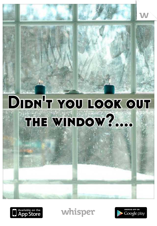 Didn't you look out the window?....