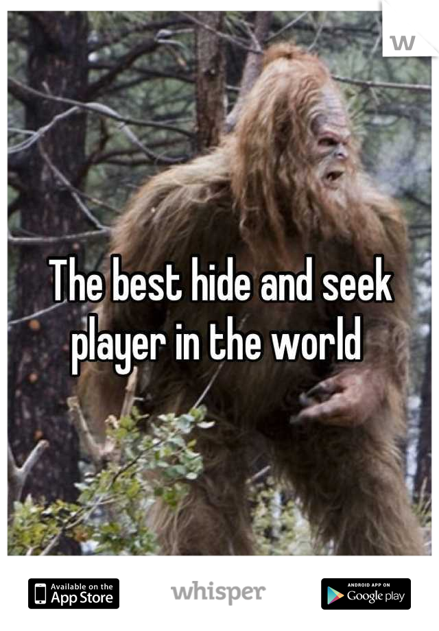 The best hide and seek player in the world 
