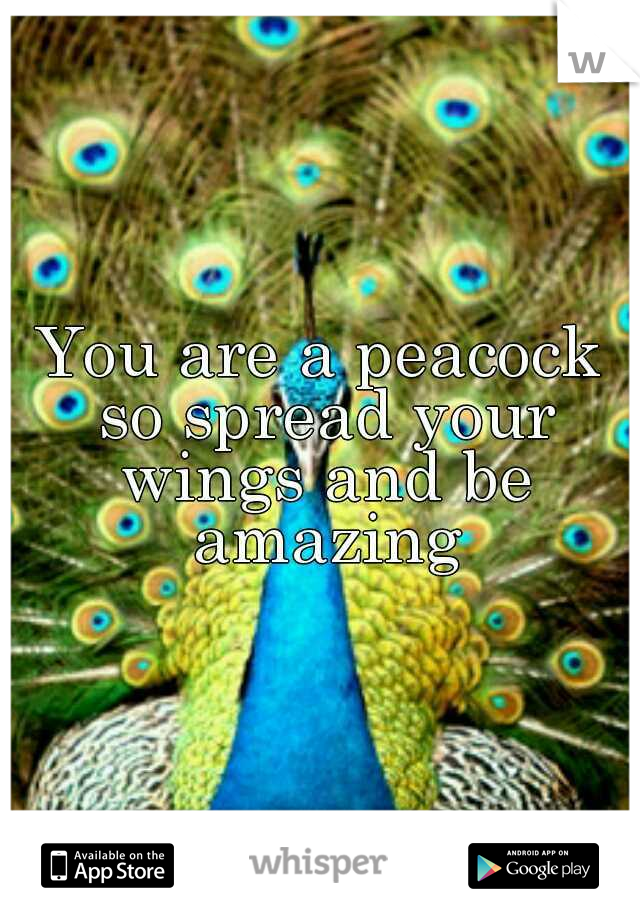 You are a peacock so spread your wings and be amazing