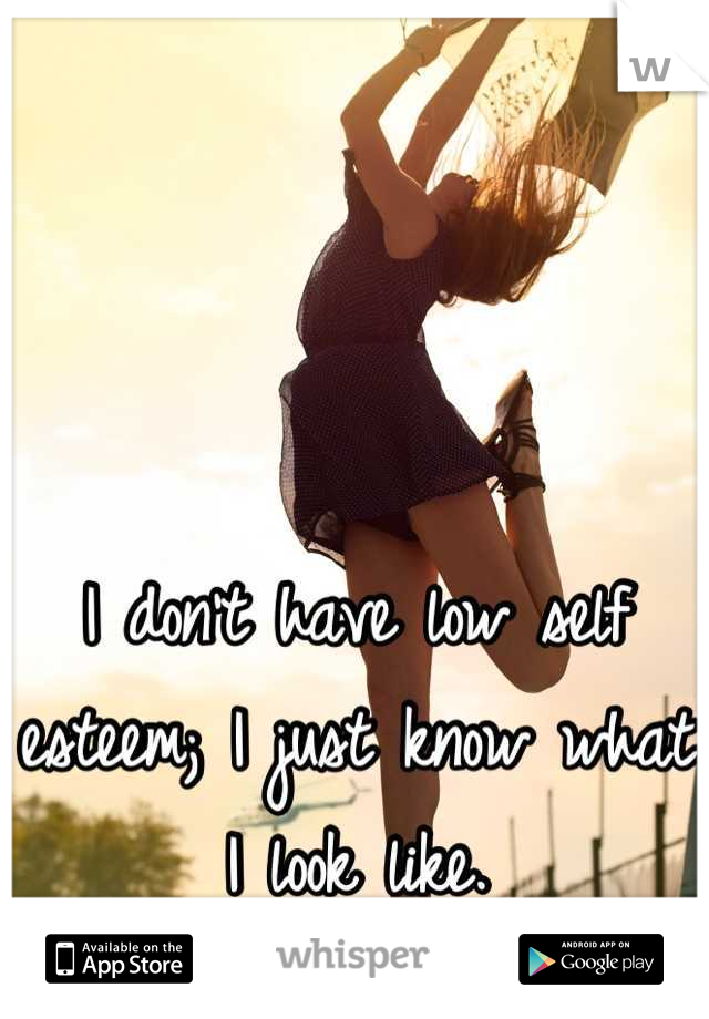I don't have low self esteem; I just know what I look like.