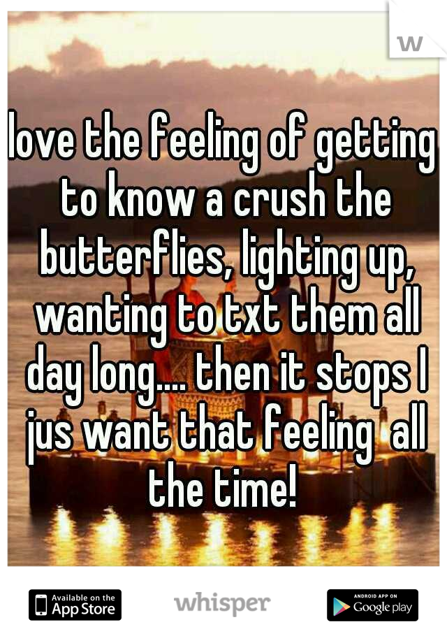 love the feeling of getting to know a crush the butterflies, lighting up, wanting to txt them all day long.... then it stops I jus want that feeling  all the time! 