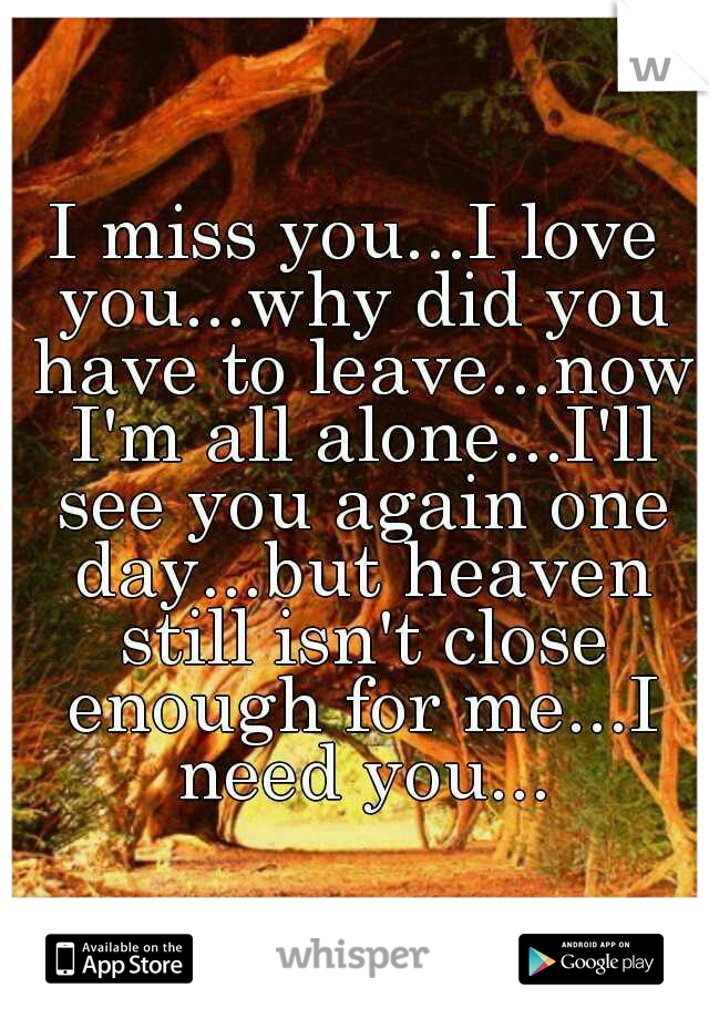 I miss you...I love you...why did you have to leave...now I'm all alone...I'll see you again one day...but heaven still isn't close enough for me...I need you...