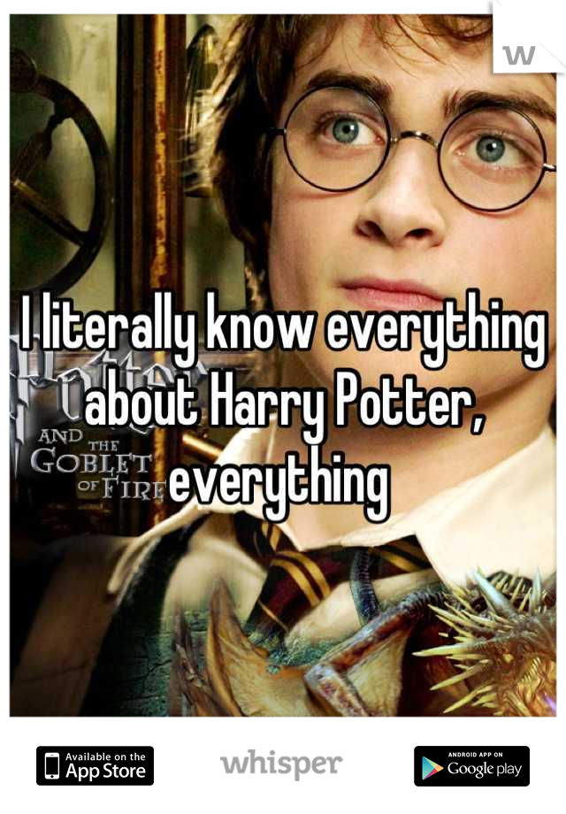 I literally know everything about Harry Potter, everything 
