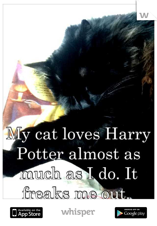 My cat loves Harry Potter almost as much as I do. It freaks me out. 