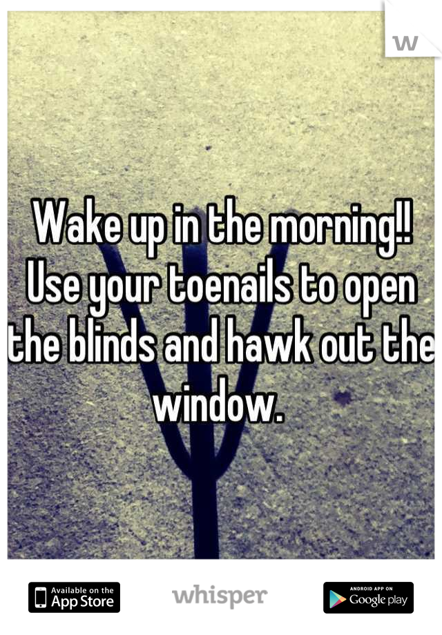 Wake up in the morning!! Use your toenails to open the blinds and hawk out the window. 