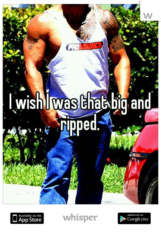 I wish I was that big and ripped. 
