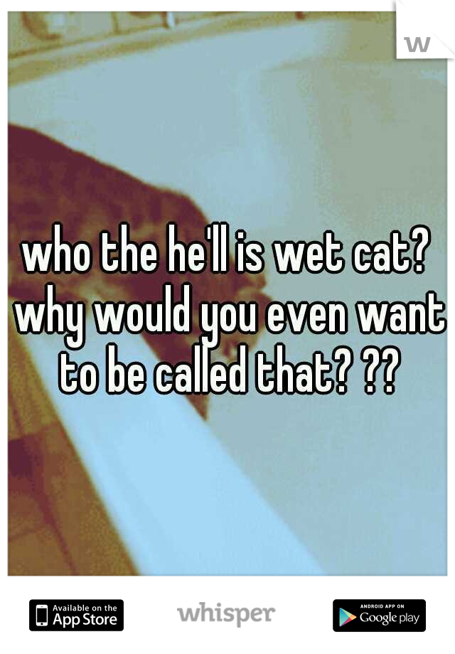 who the he'll is wet cat? why would you even want to be called that? ??