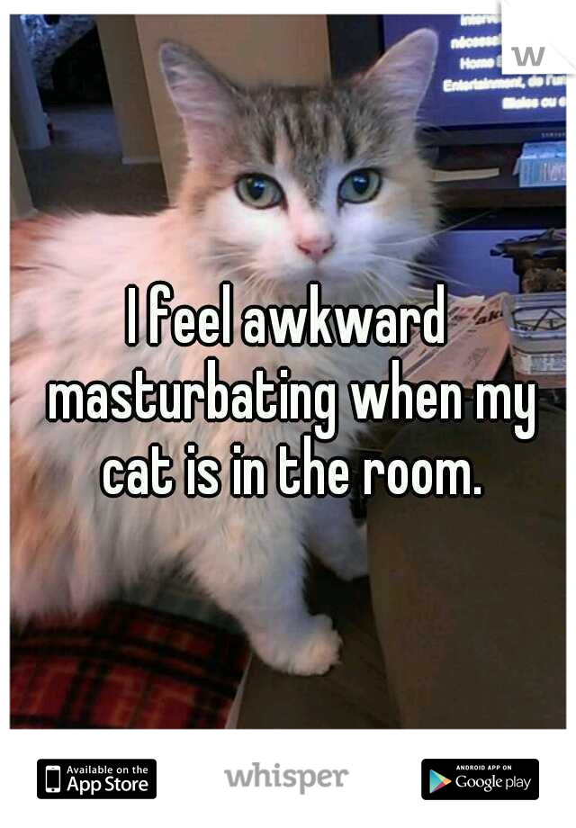 I feel awkward masturbating when my cat is in the room.