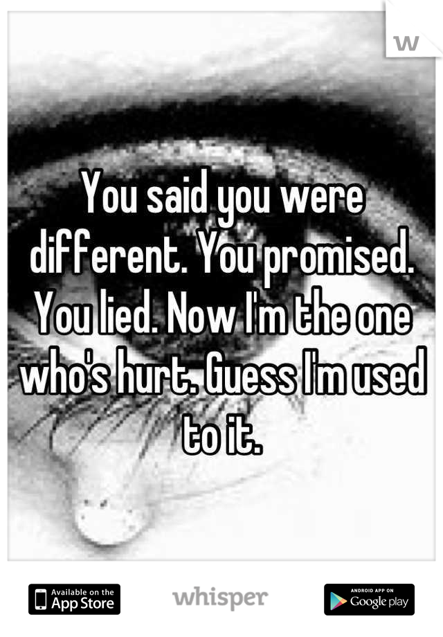 You said you were different. You promised. You lied. Now I'm the one who's hurt. Guess I'm used to it.