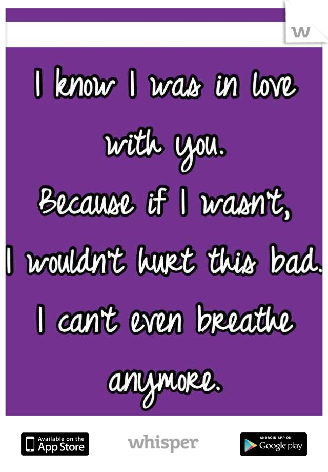 I know I was in love with you.
Because if I wasn't, 
I wouldn't hurt this bad.
I can't even breathe anymore.