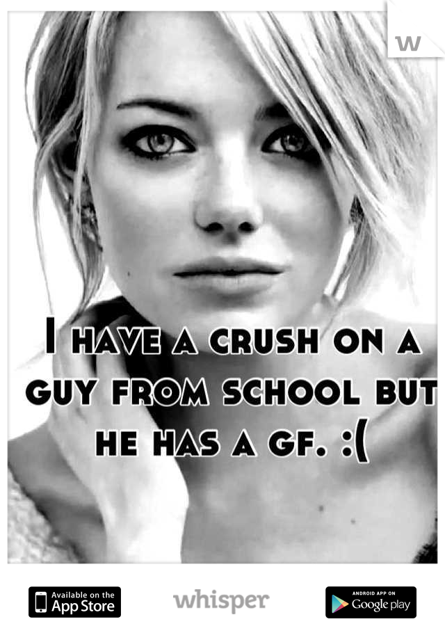 I have a crush on a guy from school but he has a gf. :(