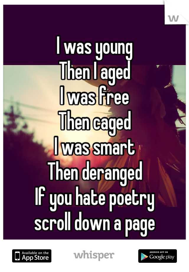 I was young
Then I aged
I was free
Then caged
I was smart
Then deranged
If you hate poetry 
scroll down a page