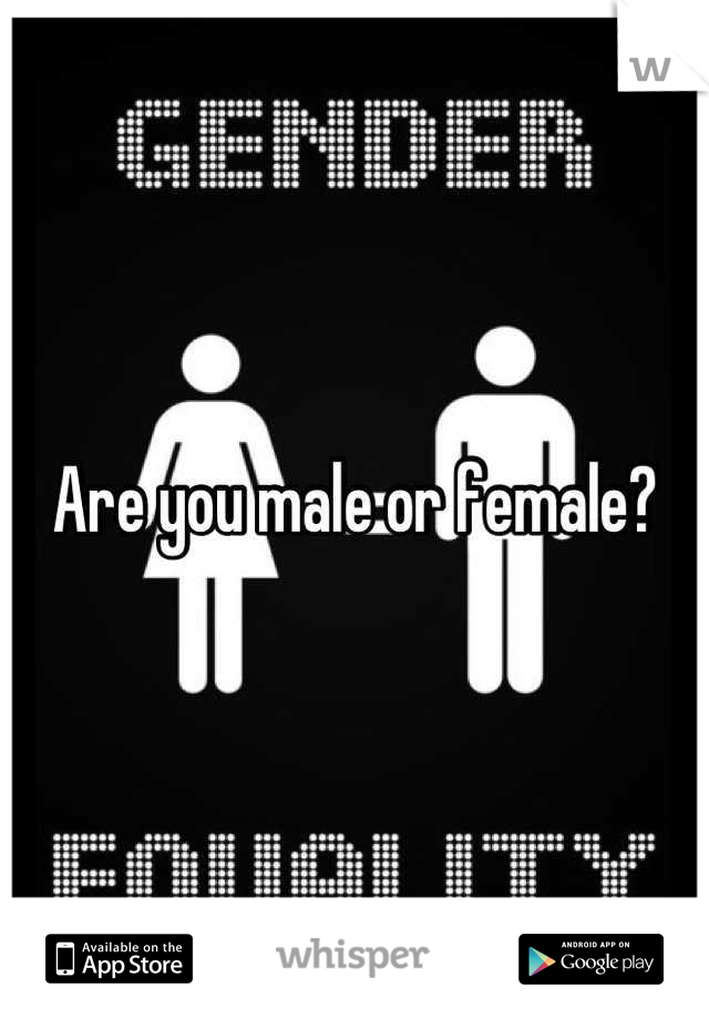 Are you male or female?
