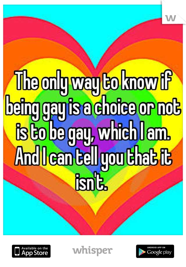 The only way to know if being gay is a choice or not is to be gay, which I am. And I can tell you that it isn't. 