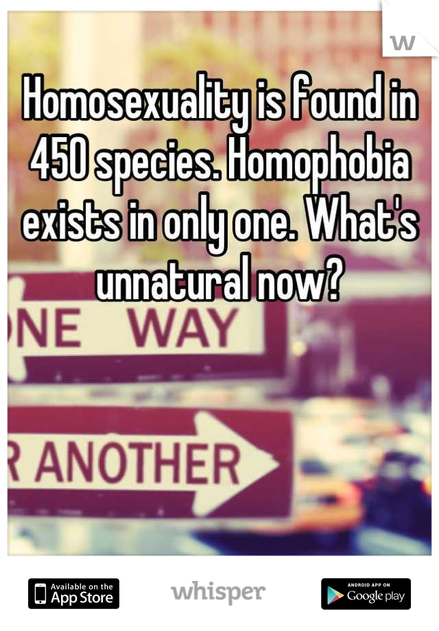 Homosexuality is found in 450 species. Homophobia exists in only one. What's unnatural now?




