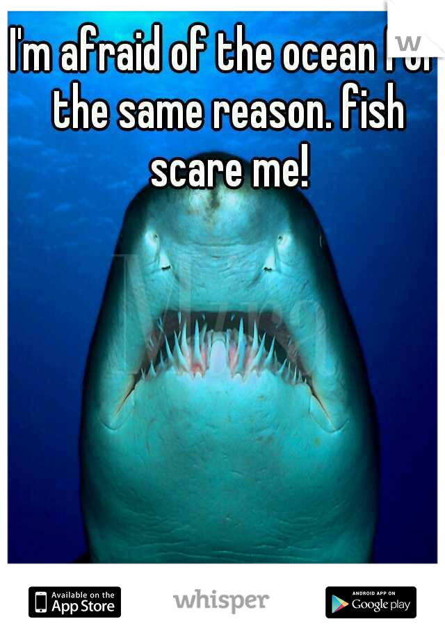 I'm afraid of the ocean for the same reason. fish scare me!