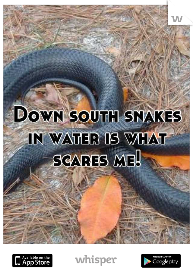 Down south snakes in water is what scares me!