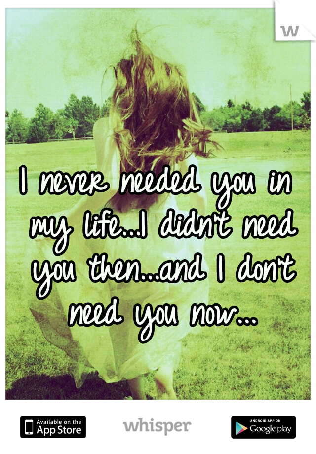 I never needed you in my life...I didn't need you then...and I don't need you now...
