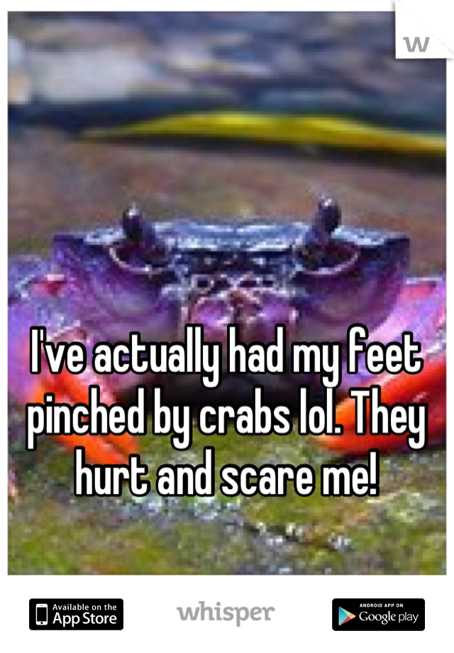 I've actually had my feet pinched by crabs lol. They hurt and scare me!