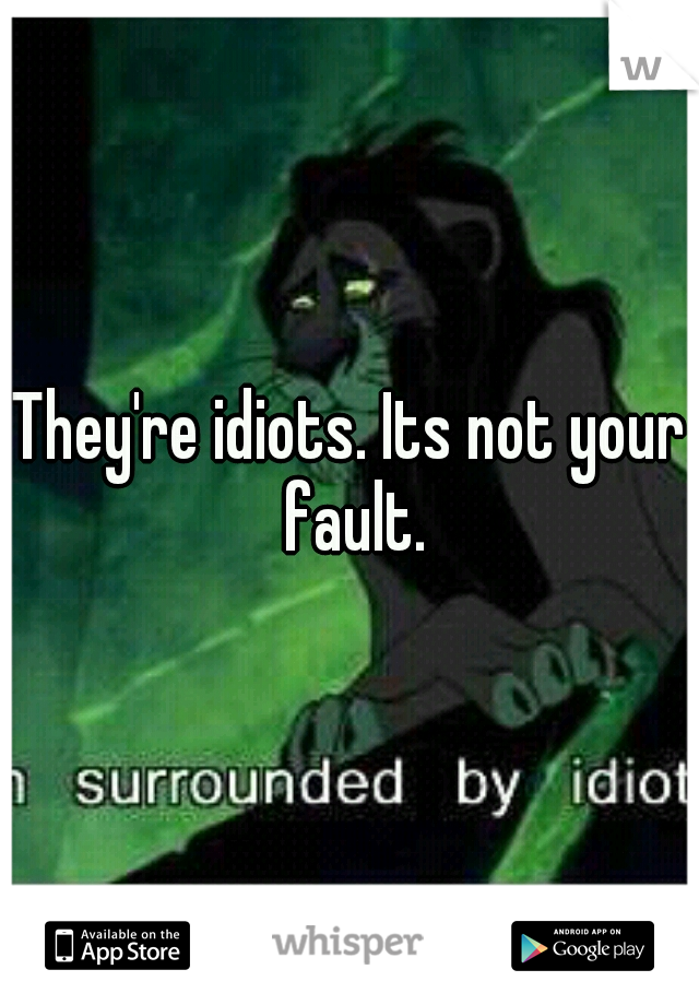 They're idiots. Its not your fault.