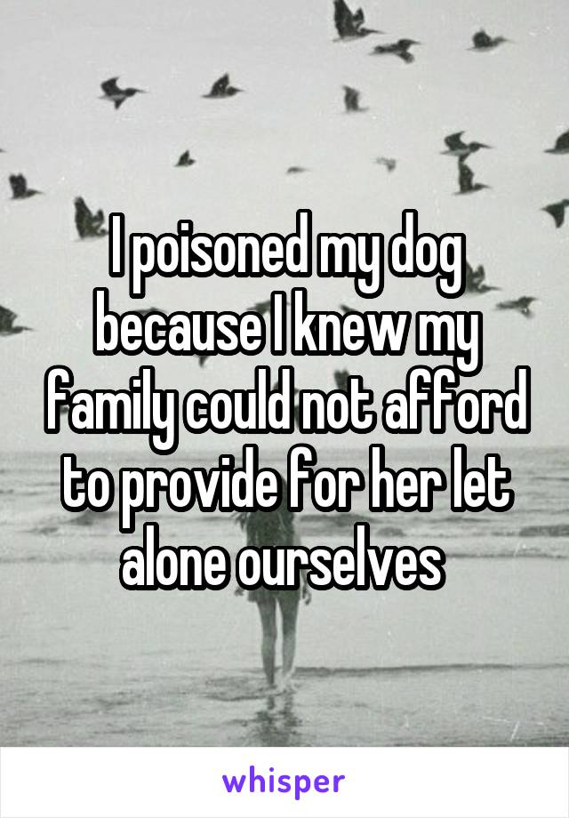 I poisoned my dog because I knew my family could not afford to provide for her let alone ourselves 