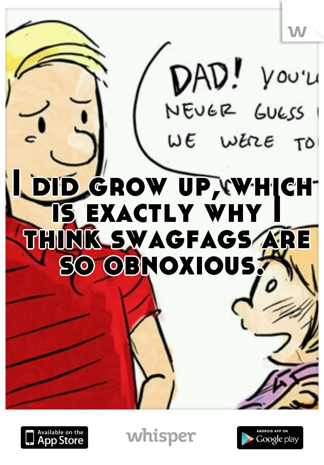 I did grow up, which is exactly why I think swagfags are so obnoxious. 