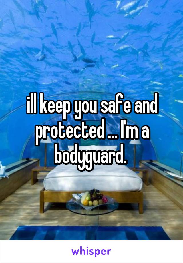 ill keep you safe and protected ... I'm a bodyguard. 