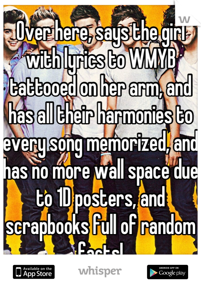 Over here, says the girl with lyrics to WMYB tattooed on her arm, and has all their harmonies to every song memorized, and has no more wall space due to 1D posters, and scrapbooks full of random facts!