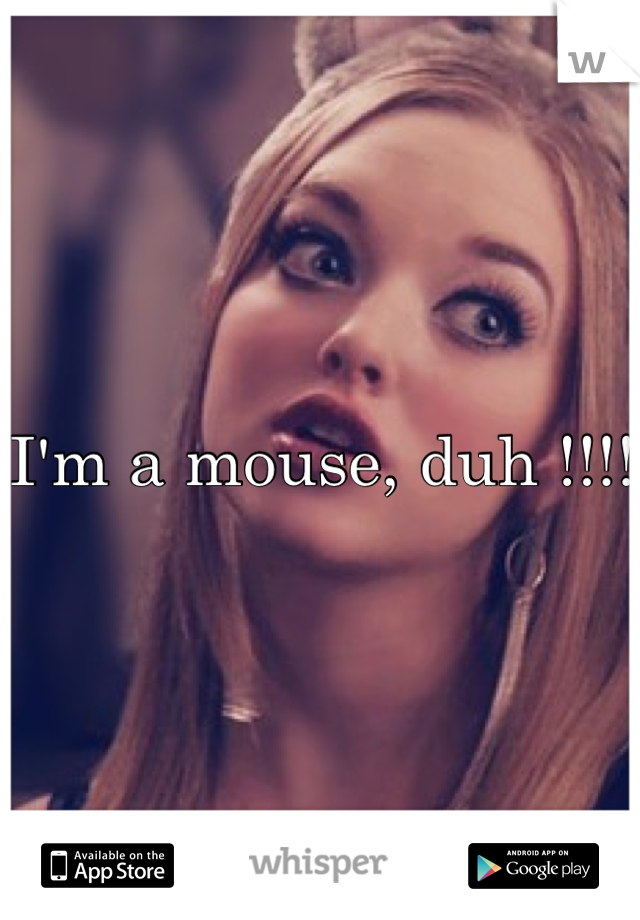I'm a mouse, duh !!!!