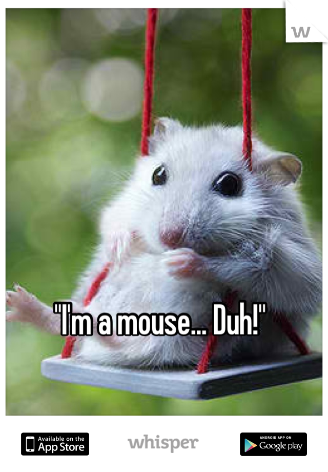 "I'm a mouse... Duh!"