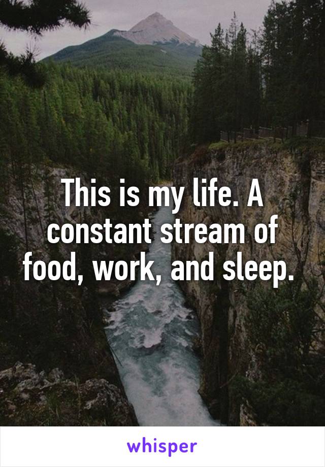 This is my life. A constant stream of food, work, and sleep. 