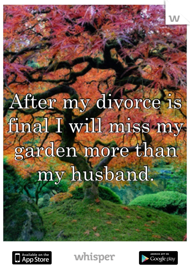 After my divorce is final I will miss my garden more than my husband.
