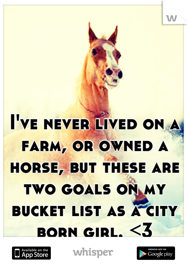 I've never lived on a farm, or owned a horse, but these are two goals on my bucket list as a city born girl. <3