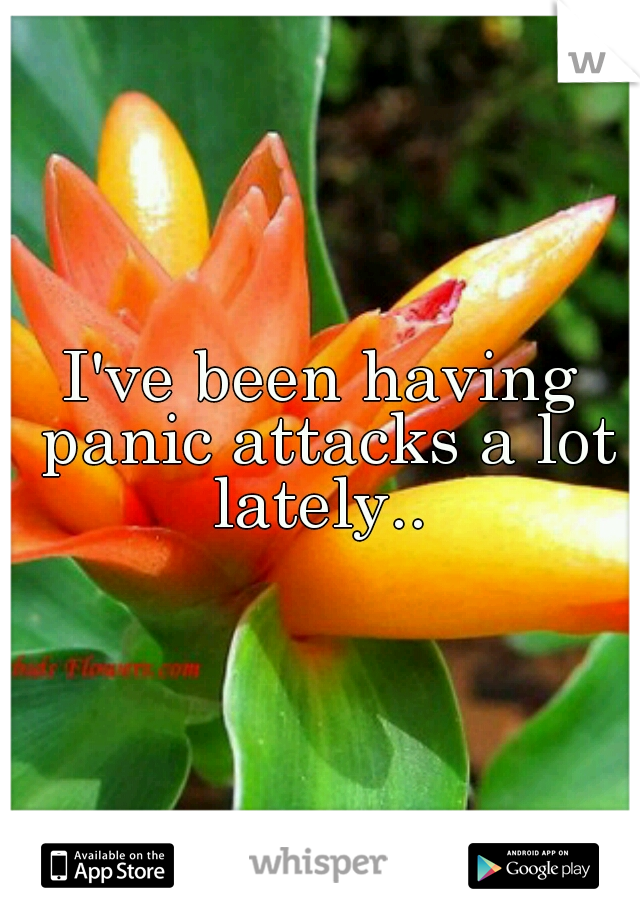 I've been having panic attacks a lot lately.. 