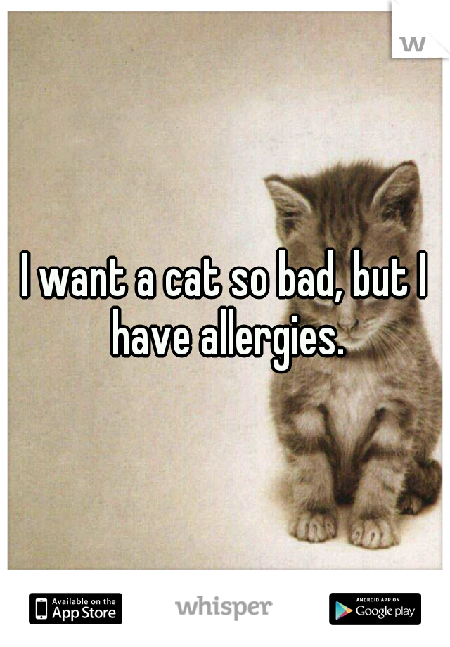 I want a cat so bad, but I have allergies.