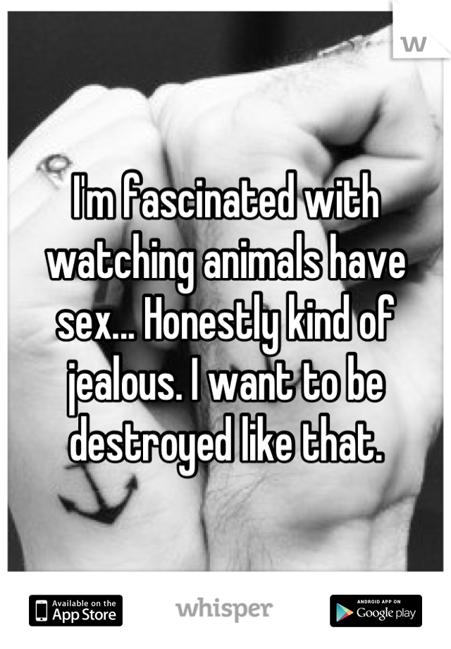 I'm fascinated with watching animals have sex... Honestly kind of jealous. I want to be destroyed like that.
