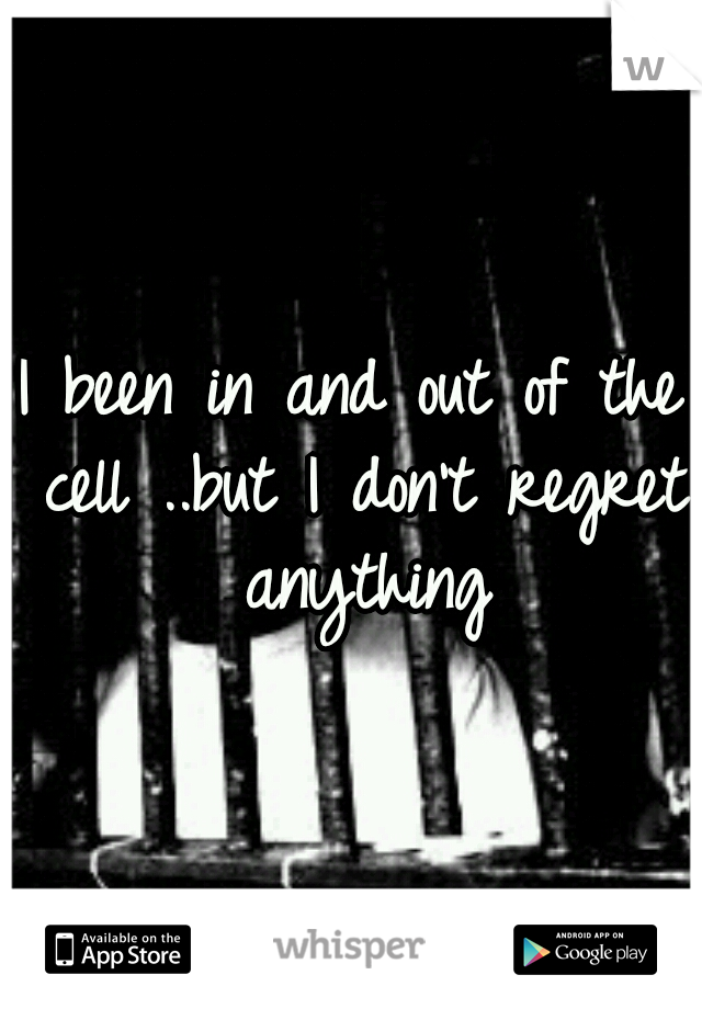 I been in and out of the cell ..but I don't regret anything