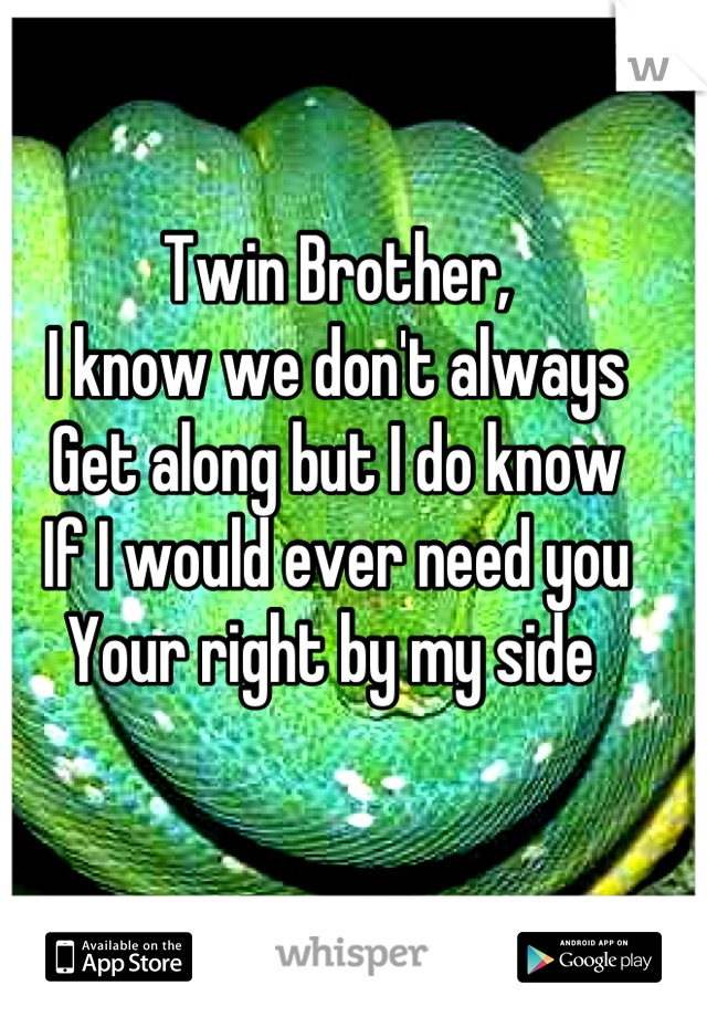 Twin Brother, 
I know we don't always 
Get along but I do know
If I would ever need you
Your right by my side 
