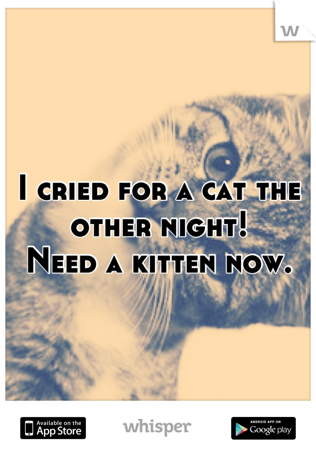 I cried for a cat the other night! 
Need a kitten now.
