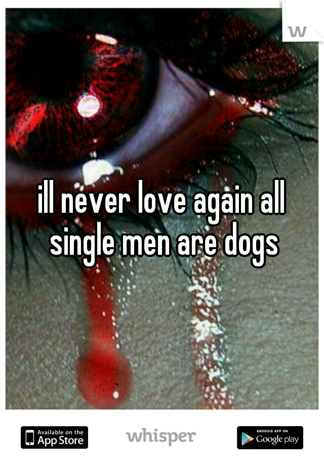 ill never love again all single men are dogs