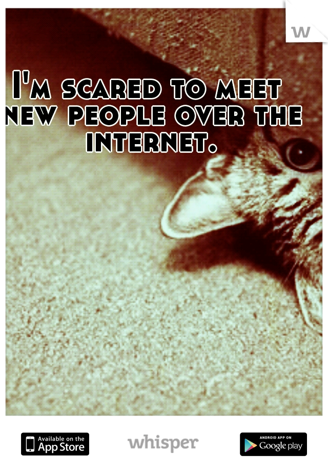 I'm scared to meet new people over the internet.