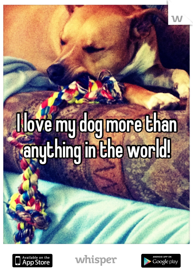 I love my dog more than anything in the world!