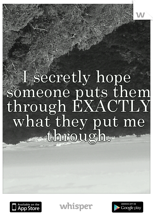 I secretly hope someone puts them through EXACTLY what they put me through.