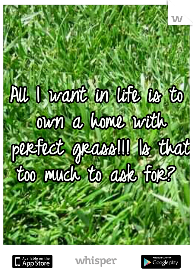 All I want in life is to own a home with perfect grass!!! Is that too much to ask for? 