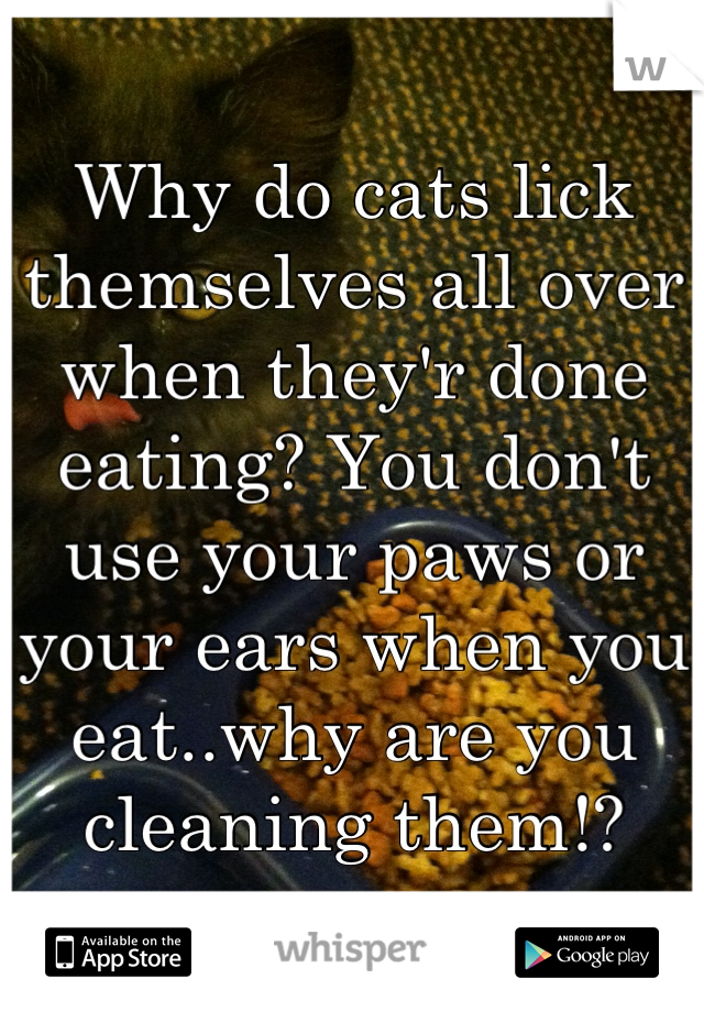 Why do cats lick themselves all over when they'r done eating? You don't use your paws or your ears when you eat..why are you cleaning them!?