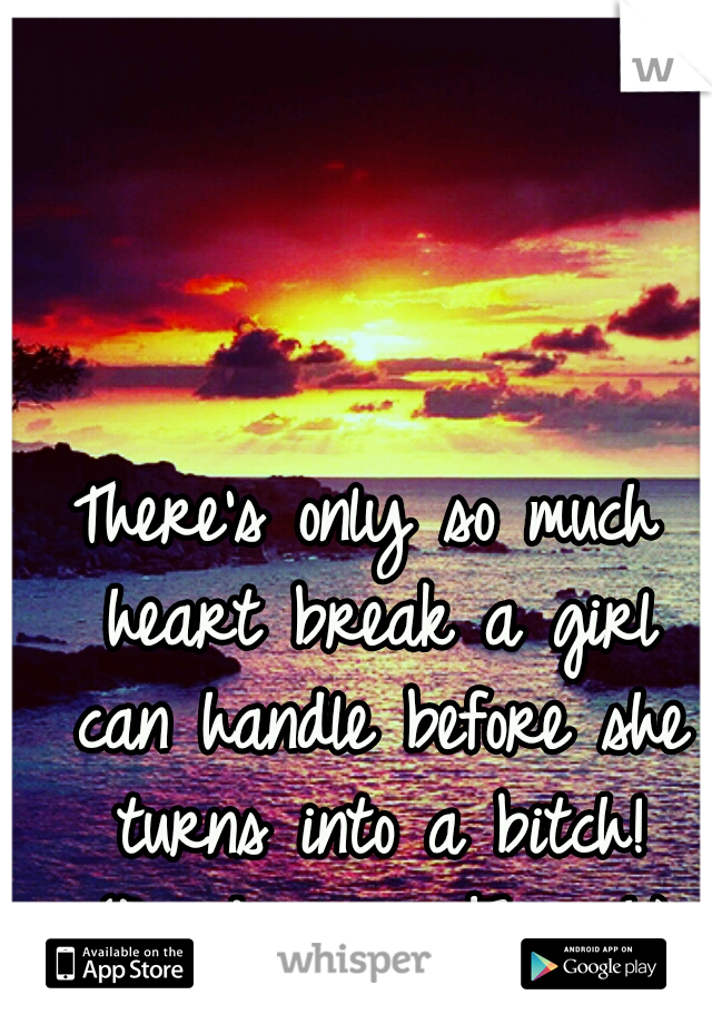 There's only so much heart break a girl can handle before she turns into a bitch! (Pardon my French)
